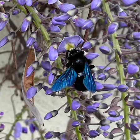 Apartment Grosse Pause Altes Schulhaus