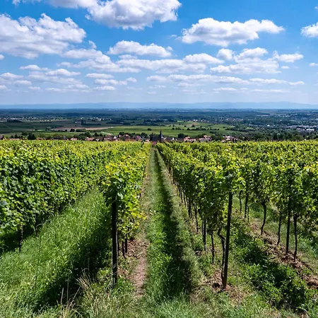 Grosse Pause Altes Schulhaus Apartment