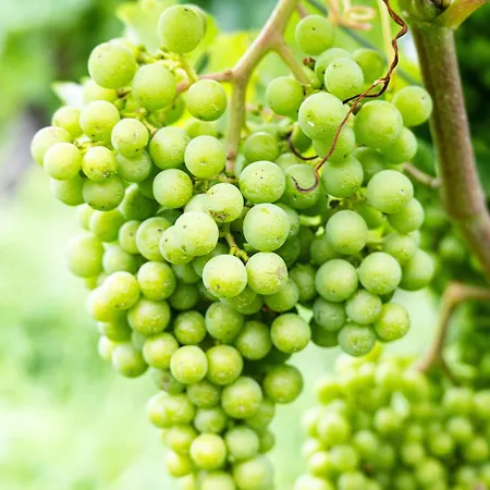 Grosse Pause Altes Schulhaus Apartment Schweigen-Rechtenbach