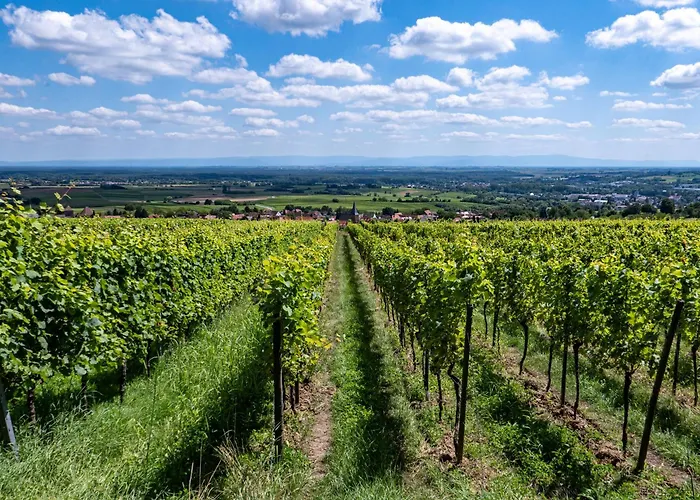 Grosse Pause Altes Schulhaus 아파트