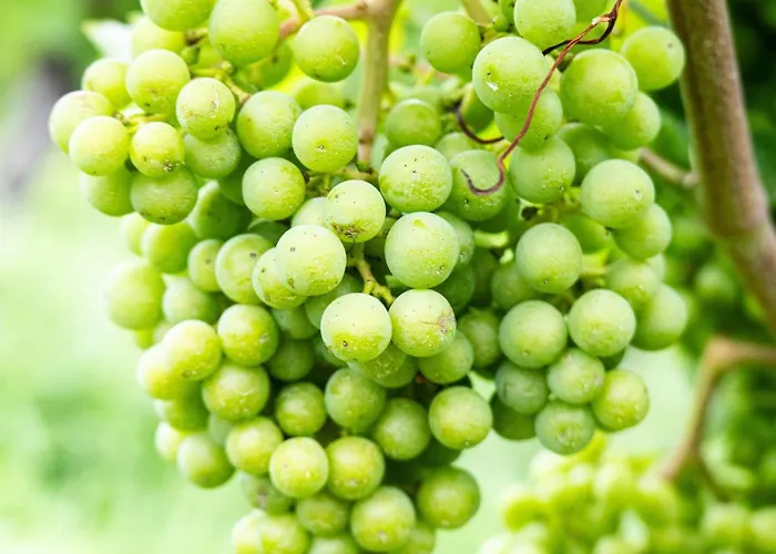 Grosse Pause Altes Schulhaus 아파트 슈바이겐레크텐바크